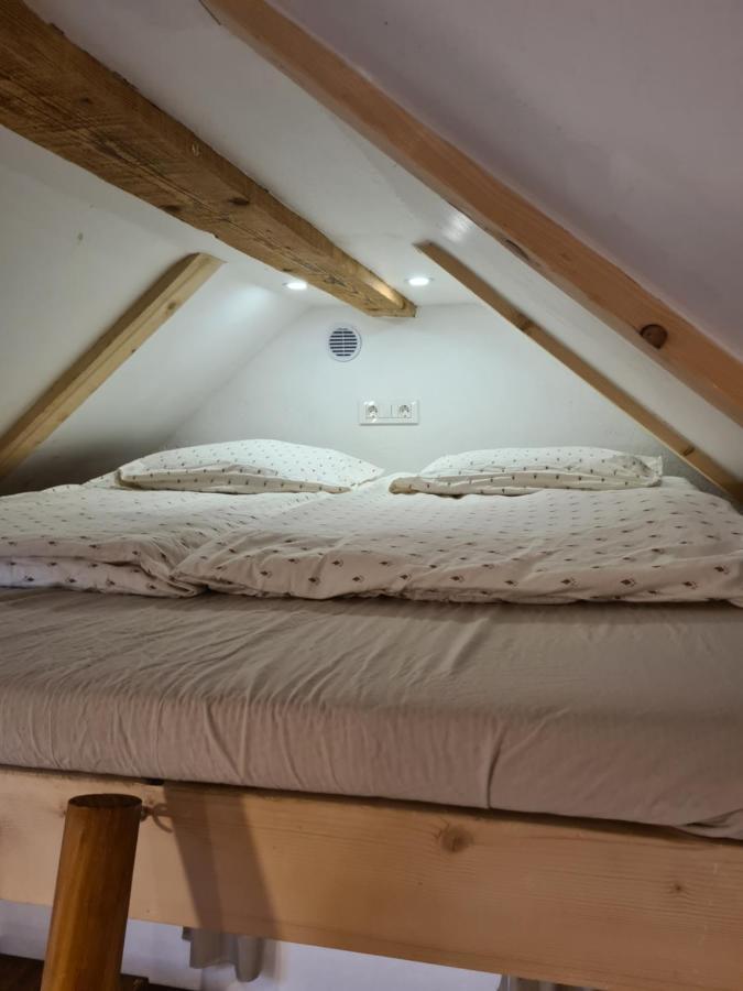 Zidanica Zagar Villa Dolenjske Toplice Luaran gambar