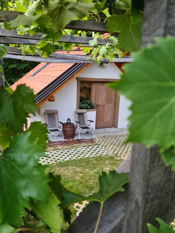 Zidanica Zagar Villa Dolenjske Toplice Luaran gambar